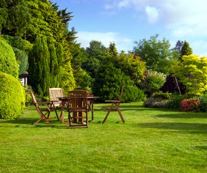 Donnez vie au jardin de vos rêves