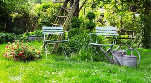 Donnez vie au jardin de vos rêves