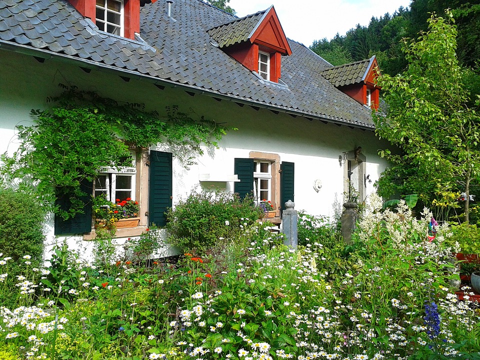 Maison entourée d'un jardin en fiche mal entretenu