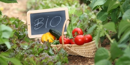 Le jardinage biologique