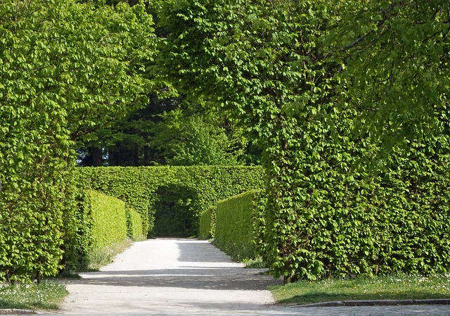 Matériel d&rsquo;entretien des haies, les buissons, les arbres