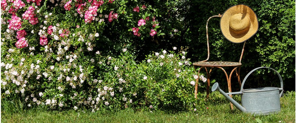 Donnez vie au jardin de vos rêves