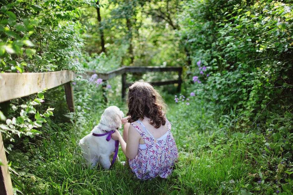 Chien au jardin : attention aux plantes toxiques